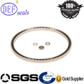 SUS 301 PTFE Spring Loaded Seals